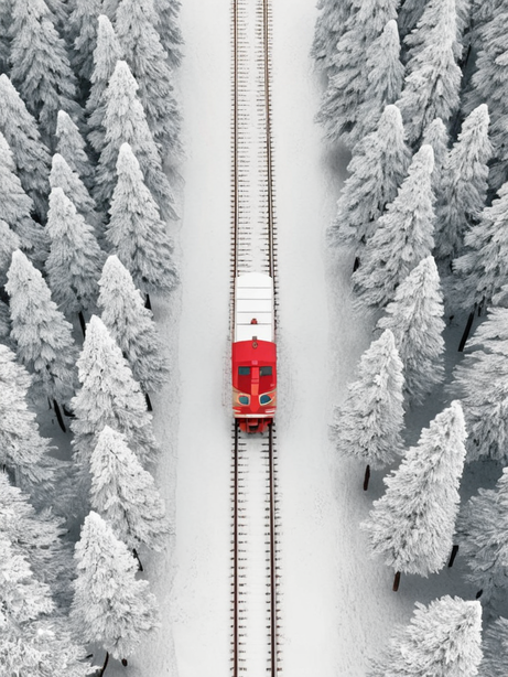 一列穿过雪林轨道的红色列车